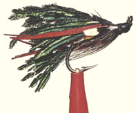 fliege.jpg (19773 Byte)